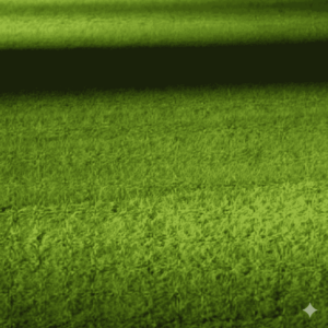 NEU: Rasen mit Mikroklee