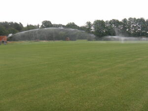 Premium Supina Rasen