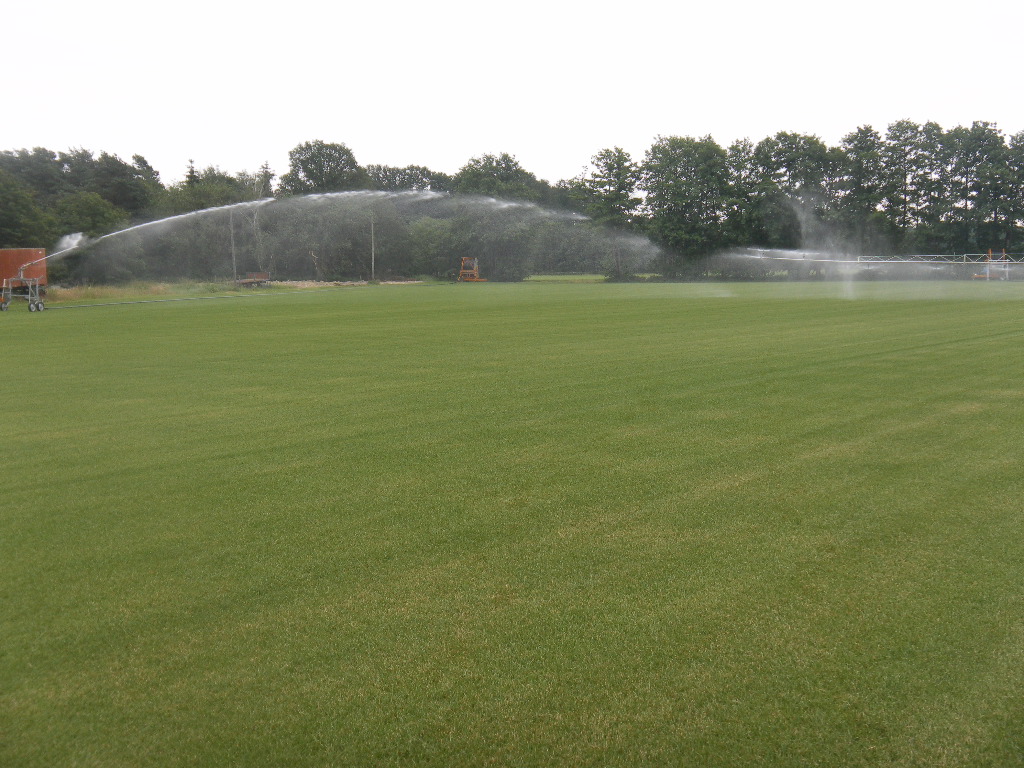 Premium Supina Rasen