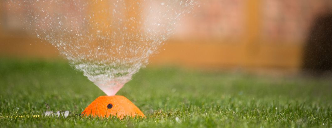 Premium Supina Rasen